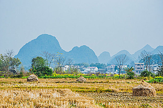 dự đoán xổ số thành phố hồ chí minh