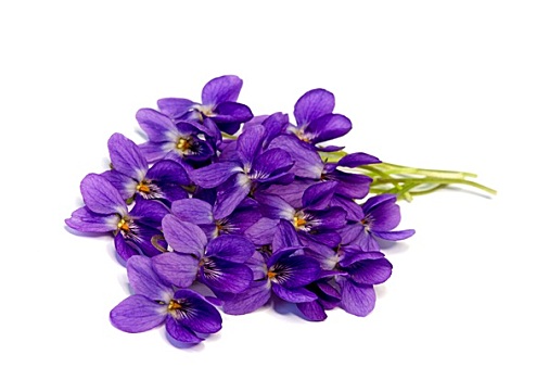 bình luận xsmb hôm nay