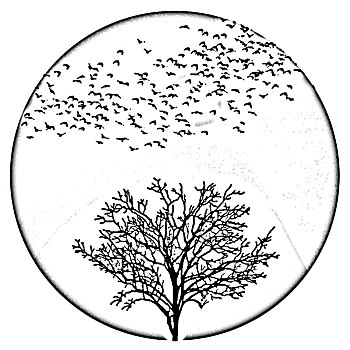 soi cầu lô bạch thủ hôm nay