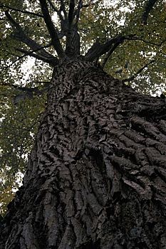 cách chơi lô đề miền bắc