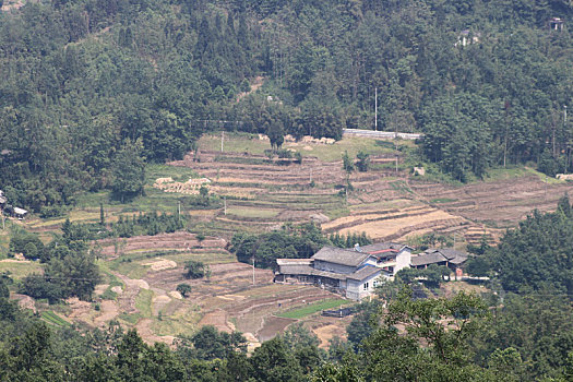 soi cau mb 888 vip