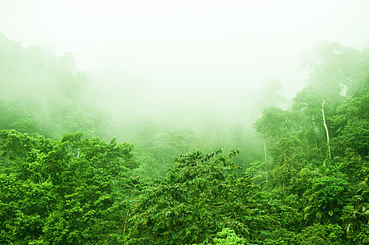 chơi số đề trực tuyến