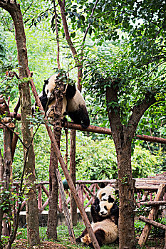 thống kê xổ số kon tum