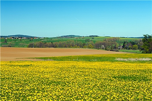 xs vĩnh long