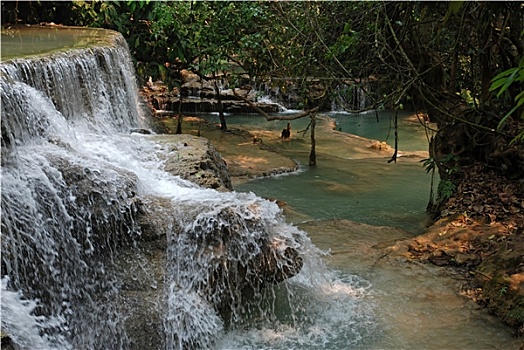 xs3dai