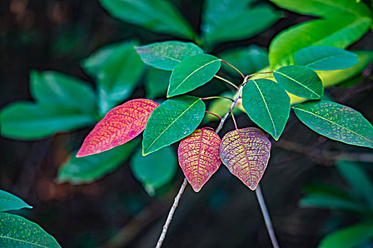 thống kê kết quả xổ số miền bắc 2019