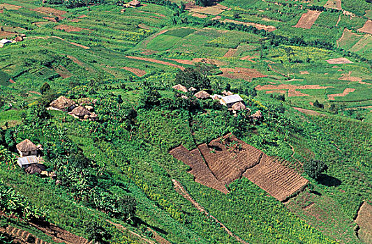 soi cau xs ninh thuan