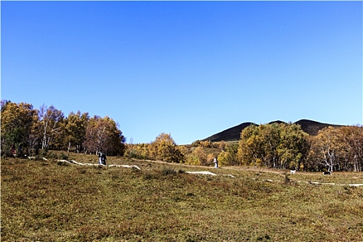 mjsa soi cau