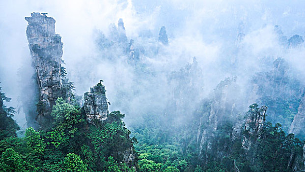 soi cau bach thu 888