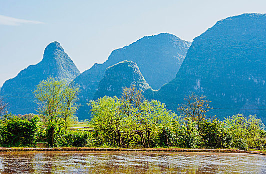 kết quả xổ số nét