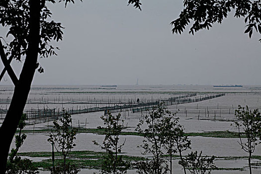 soi cau loc phat