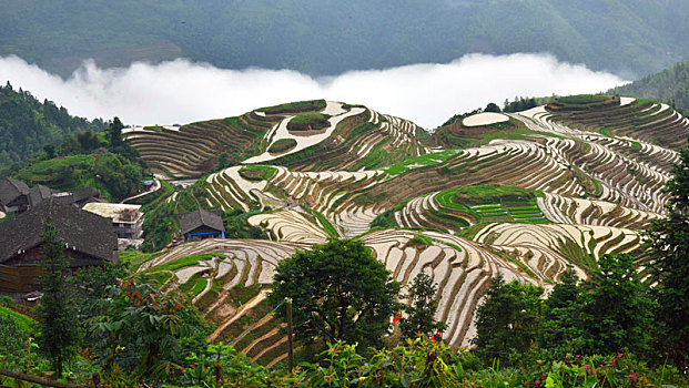 xổ số miền nam minh chính