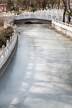 rong bach kim mb
