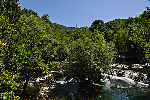 du doan than tai mn