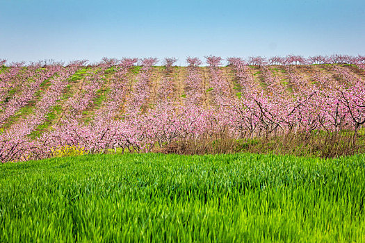 thống kê xổ số tây ninh