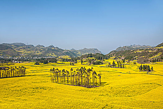 xsmn thu tu hang tuan
