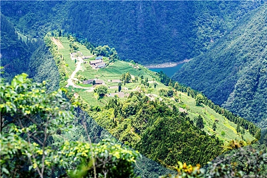 soi cau khung 3 ngay 247