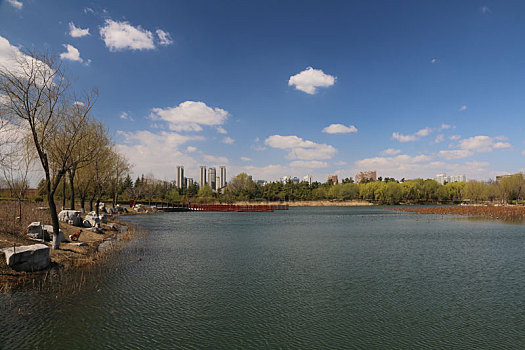 dàn đề chuẩn