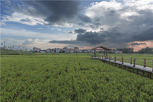 lo bach thu khung 3