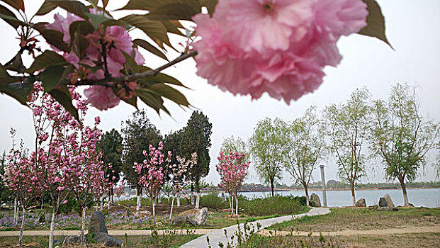 số tiền giang