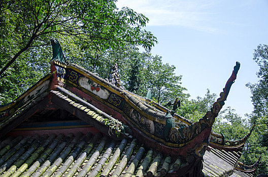 soi cau thu do