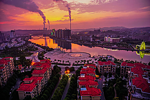 bạch thủ lô tô