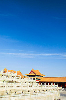 soi cau lo chinh xac mien phi