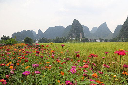 xổ số thử hôm nay
