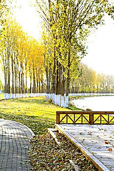 cầu lô đề miền nam