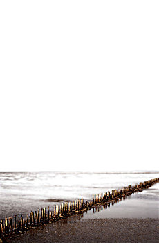 dàn đề miễn phí