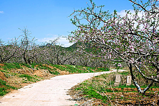 thống kê cầu bạch thủ miền bắc