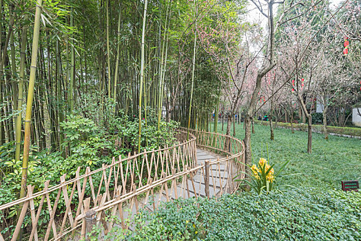 soi cau lo de bach thu mien phi