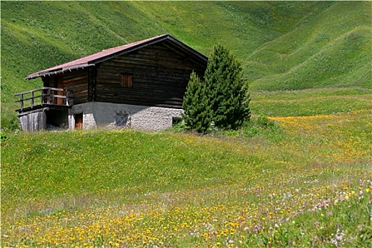 kqxs khánh hòa