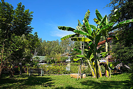 kqxs hom nay minh ngoc