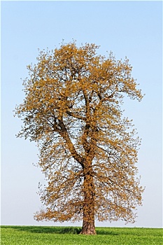thống kê xổ số vĩnh long