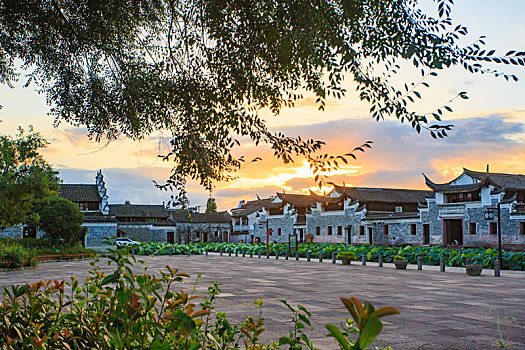 con lô đẹp hôm nay