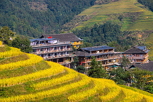 dac biet khung3 ngay