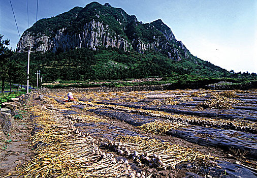 bạch thủ xsmb hôm nay