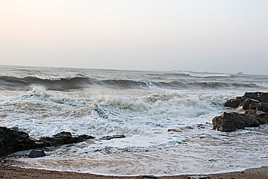 rong bach kim