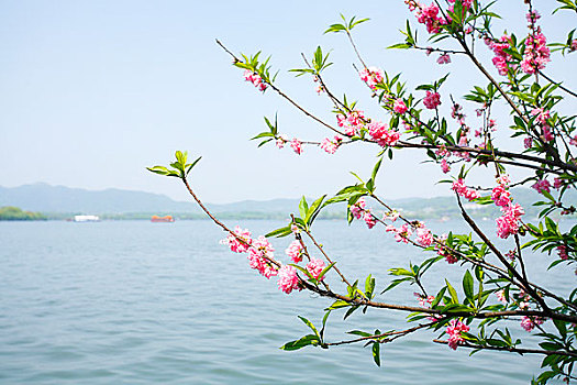 xs chu nhat