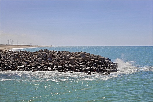 cau bach thu mb