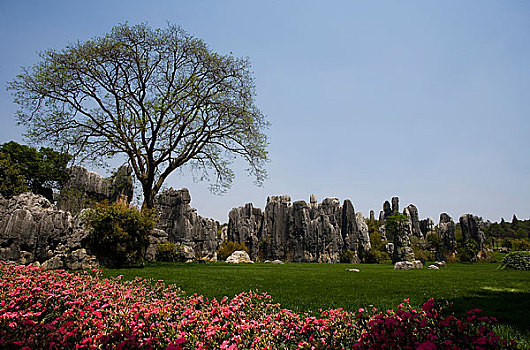 xổ số nam định
