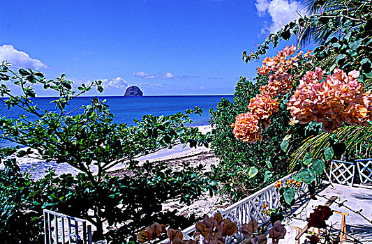 soi cau keo