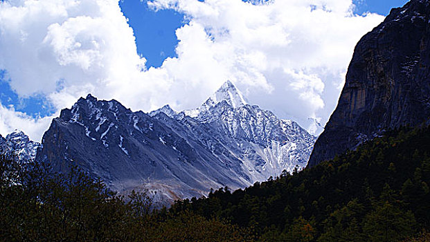 lo đe 88