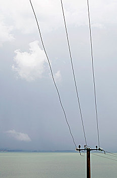 xổ số đài
