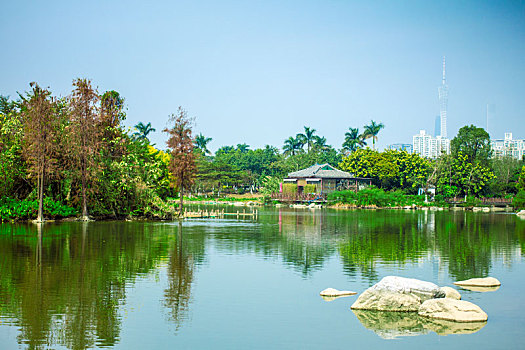 xổ số miền bắc ngày chủ nhật