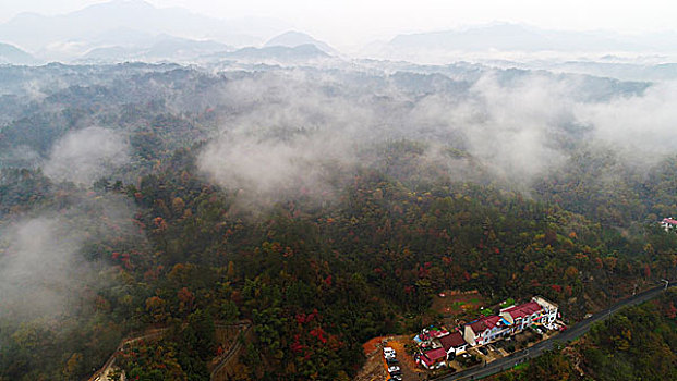 soi cau lo chuan