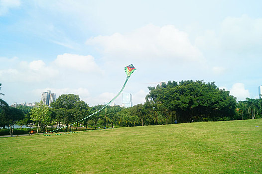 soi cầu miền bắc 2888