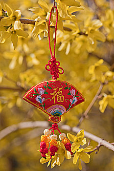 lô khung 5 ngày