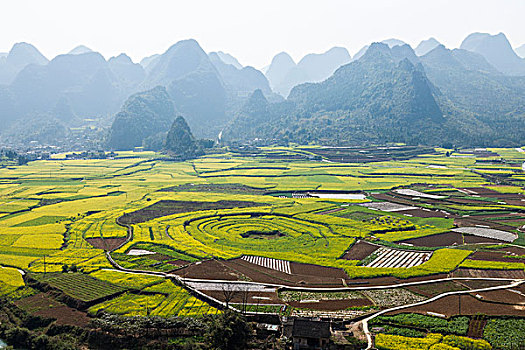 soi cau lo de online mien phi ngay hom nay